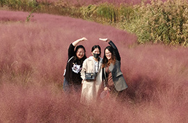 2019 Annual Company Trip- Powerson Metal | DWL插图15 2019 Annual Company Trip- Powerson Metal | DWL插图15