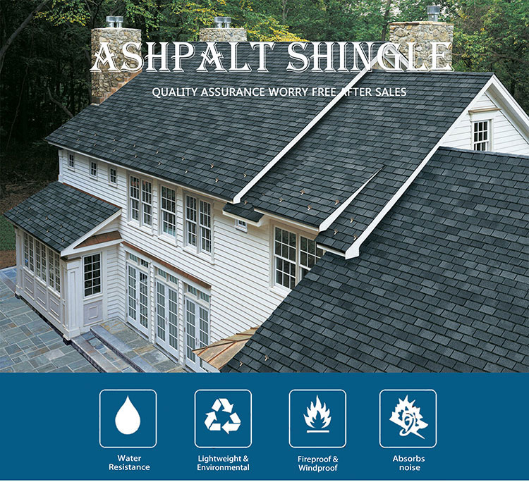 asphalt shingle
